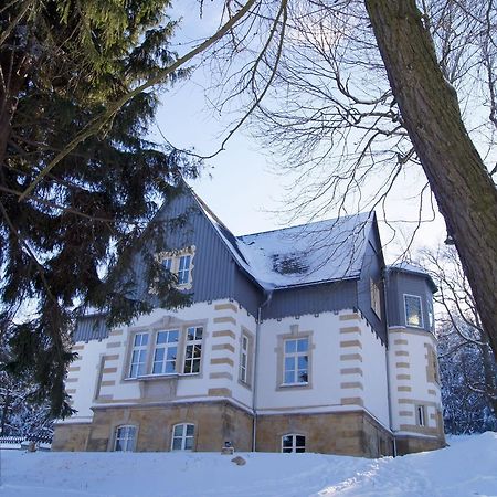 Villa-Unger Altenberg Bagian luar foto