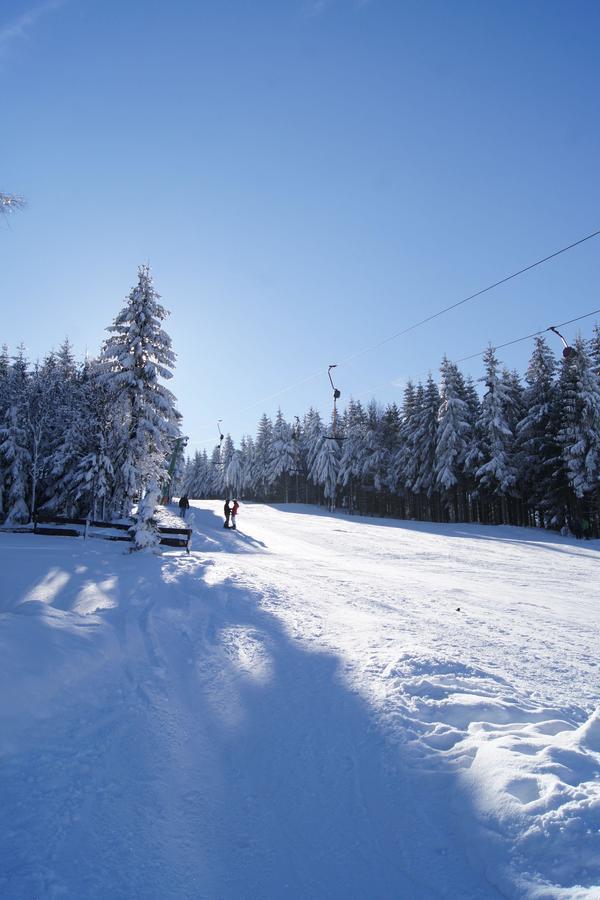 Villa-Unger Altenberg Bagian luar foto