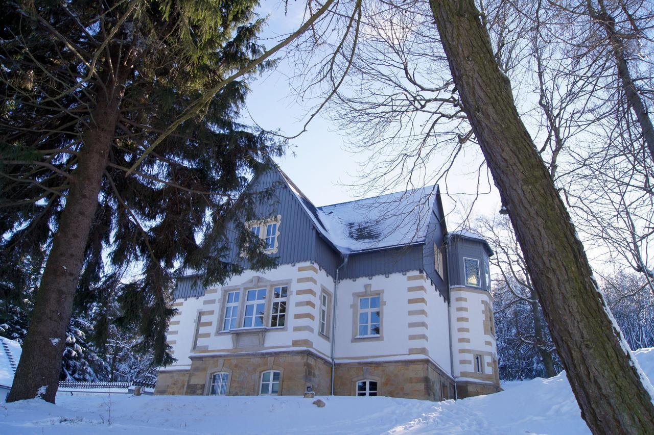 Villa-Unger Altenberg Bagian luar foto