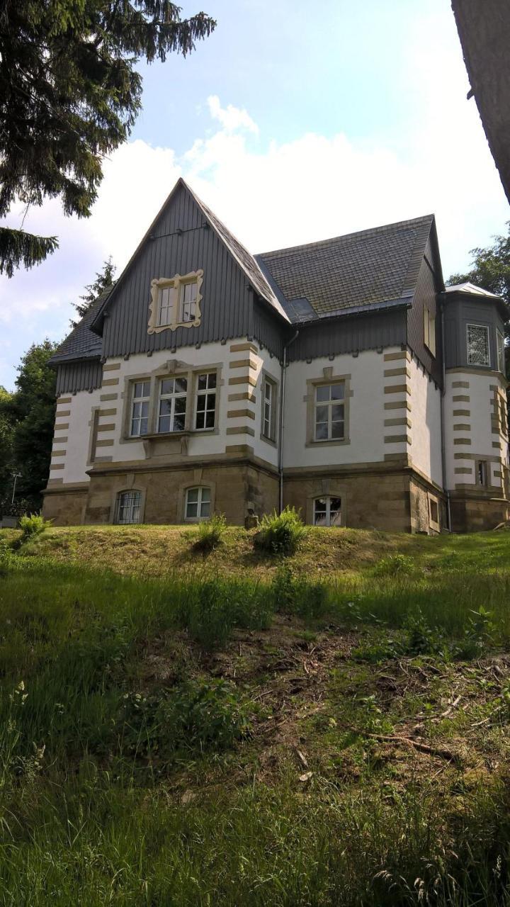 Villa-Unger Altenberg Bagian luar foto