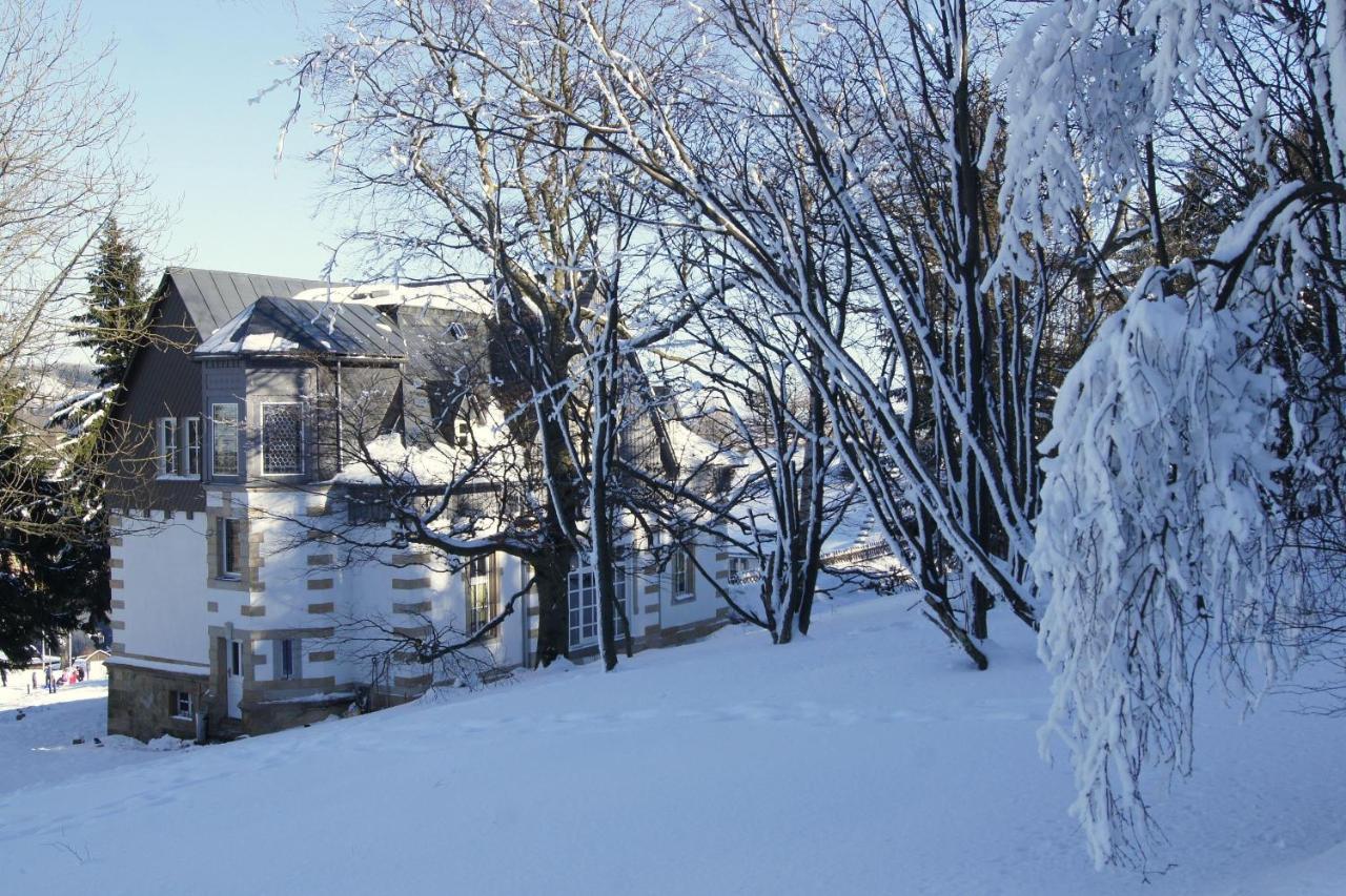 Villa-Unger Altenberg Bagian luar foto